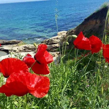 комплекс конти رافدا