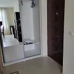 комплекс конти *